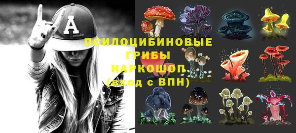 PSILOCYBIN Артём