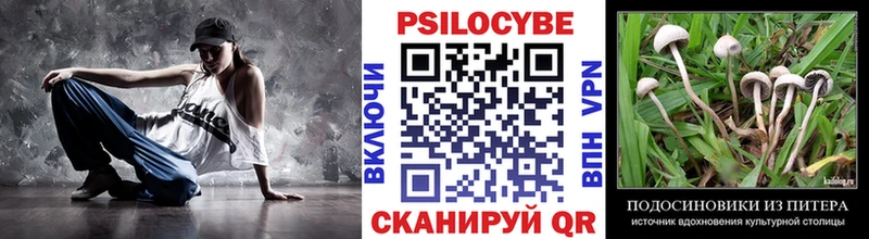 kraken онион Кондопога Галлюциногенные грибы Magic Shrooms